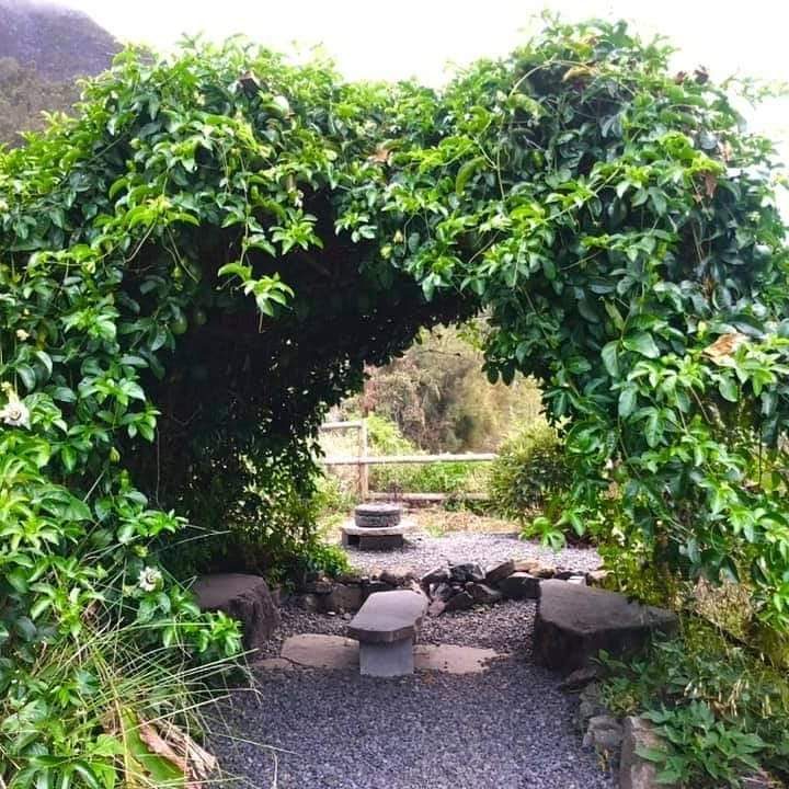 Tapacala — photo 11